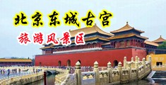 操屄爽歪歪中国北京-东城古宫旅游风景区